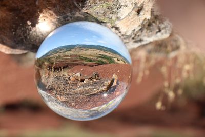 Close-up of glass of rock