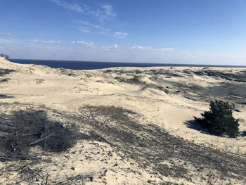 Scenic view of landscape against blue sky