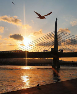 Seagulls flying over bridge against sky during sunset