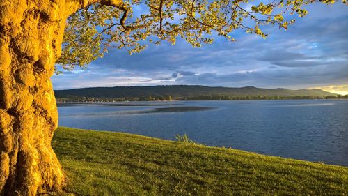 Scenic view of lake against sky
