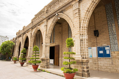 Potted plants outside building