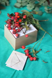 High angle view of fruits on table