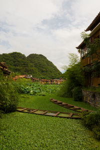 Scenic view of landscape against sky