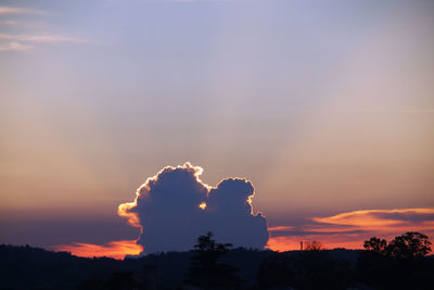 Low angle view of silhouette tree against sky during sunset