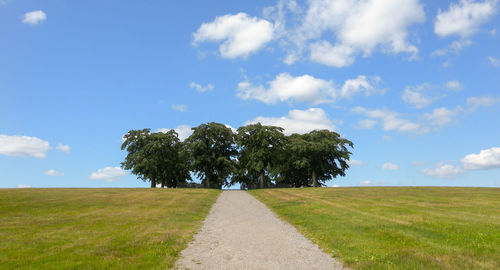 Trees on field against sky