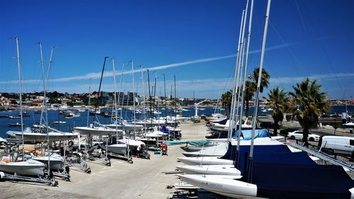 Sailboats moored at harbor against blue sky