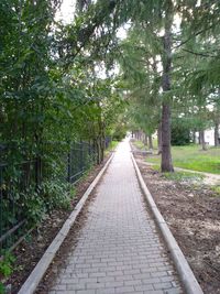 Street amidst trees in park