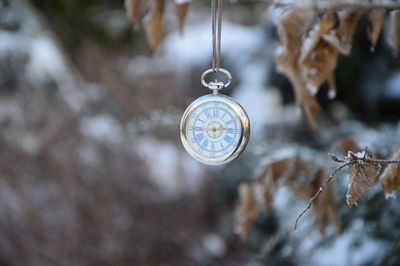 Close-up of clock hanging on tree