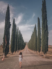 Rear view of women on road amidst trees against sky