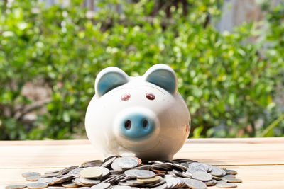 Close-up of piggy bank and coins