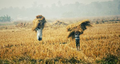 People working on field against sky