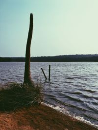 Silhouette tree by sea against clear sky