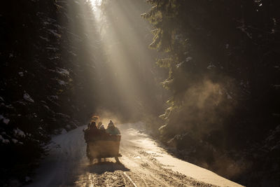 Silhouette people in sleigh on snow covered road amidst trees in forest