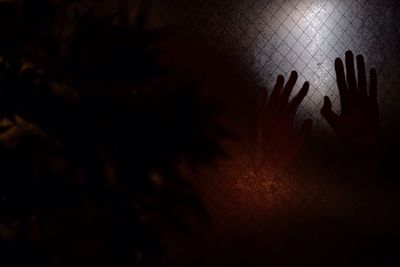 Silhouette of people at night