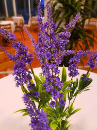 Close-up of purple flowers