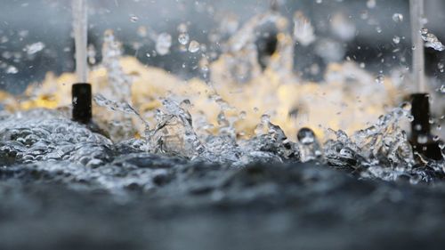 Close-up of surface level of ground