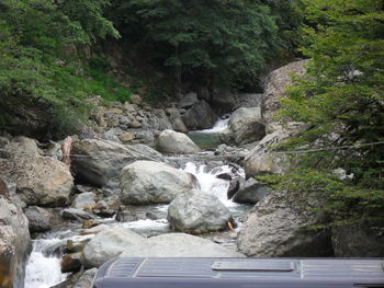 Scenic view of waterfall in forest