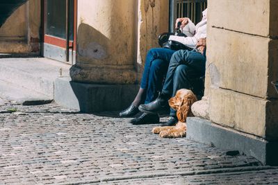 Rear view of people sitting on dog outdoors