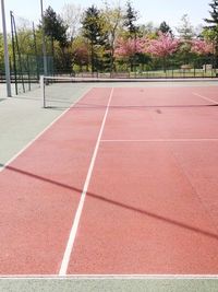 Empty road with trees in background