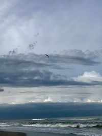 Bird flying over sea against sky