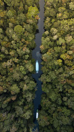 High angle view of lake amidst trees in forest