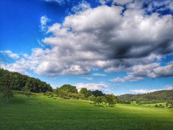 Scenic view of landscape against sky