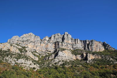 Low angle view of trees against clear blue sky