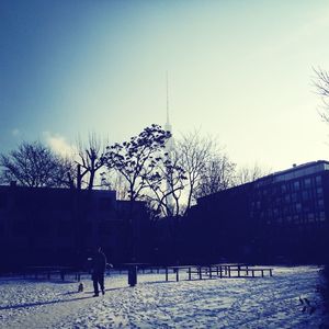 Bare trees against sky