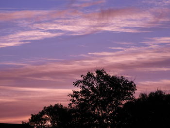 Low angle view of silhouette trees against sky at sunset