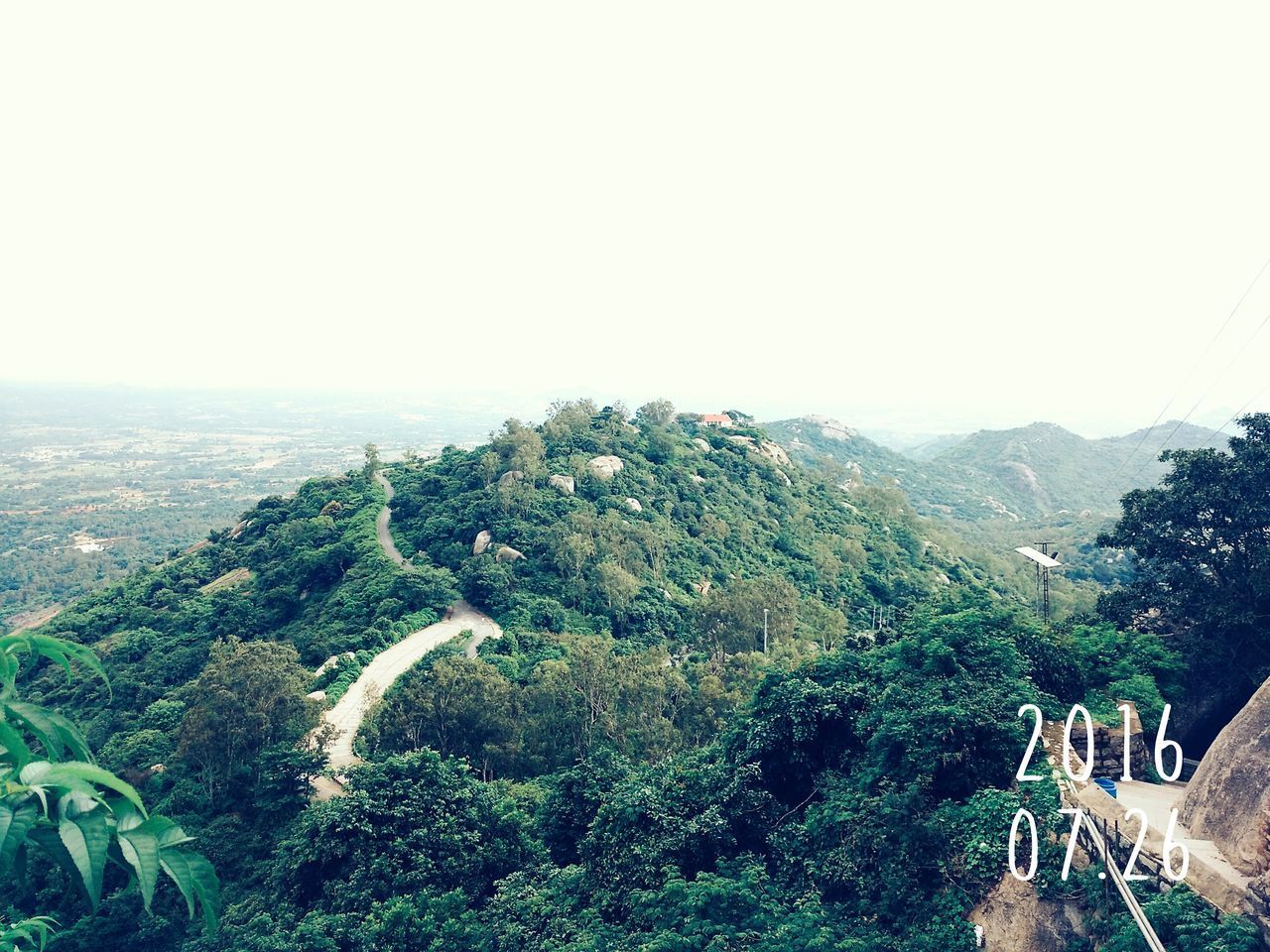 SCENIC VIEW OF TREE MOUNTAINS AGAINST CLEAR SKY