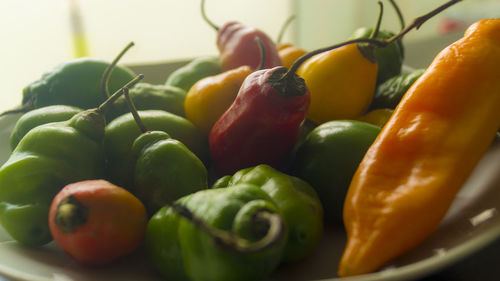 Close-up of tomatoes