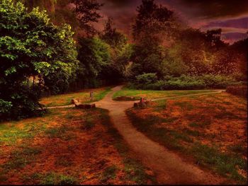 Trees on grassy field