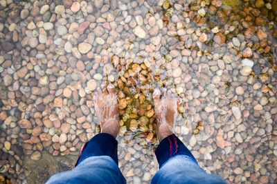 Low section of man standing in river