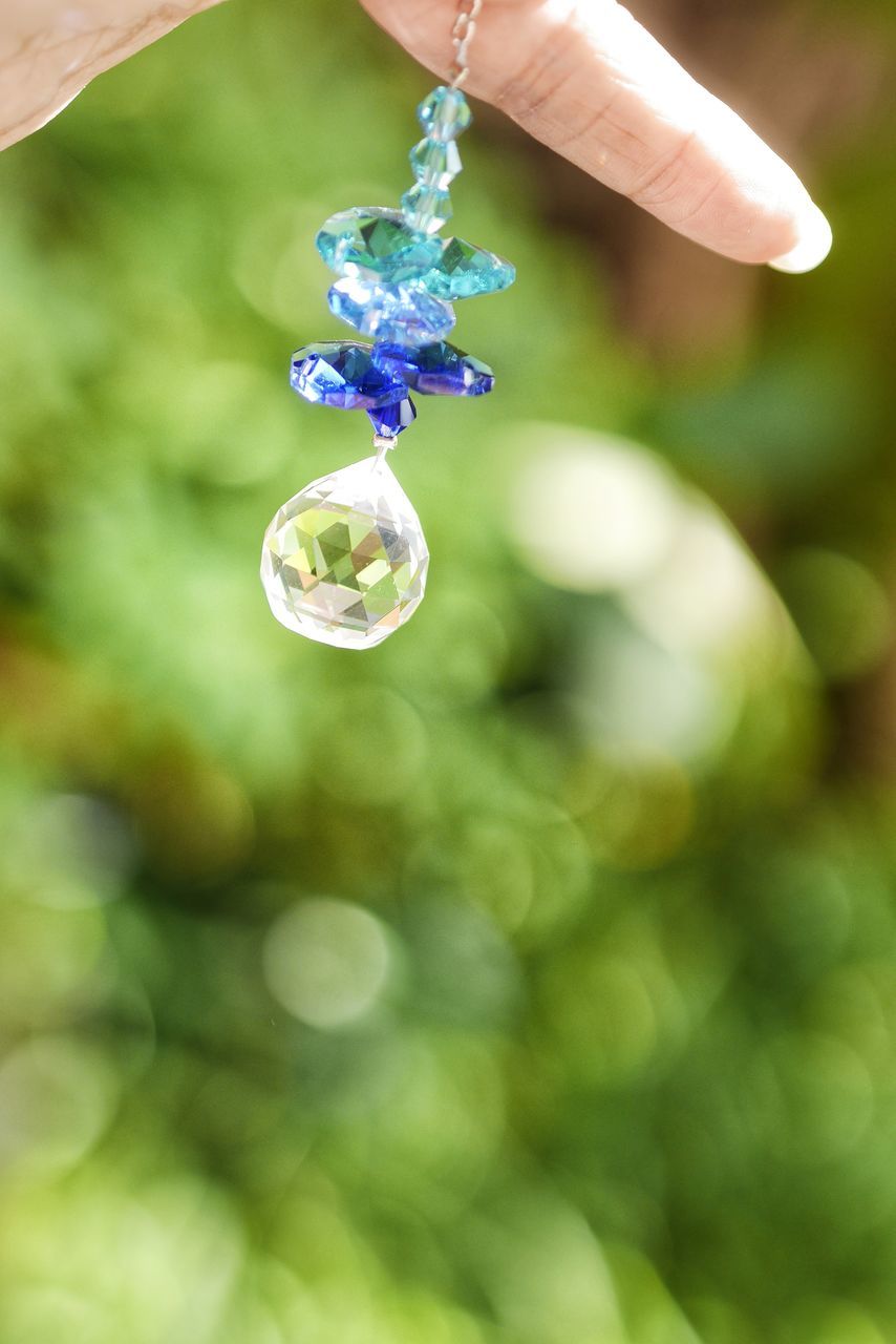 CLOSE-UP OF HAND HOLDING PURPLE FLOWERING PLANTS