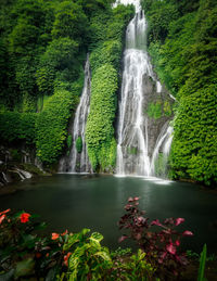 Scenic view of waterfall in forest