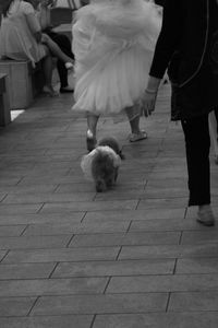 Low section of woman with dog on footpath