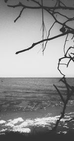 Scenic view of calm sea against clear sky