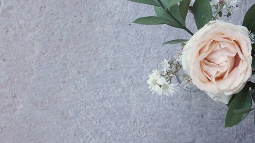 High angle view of rose bouquet