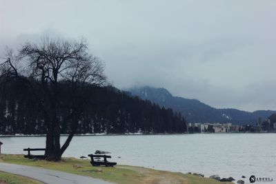 Scenic view of lake by trees against sky