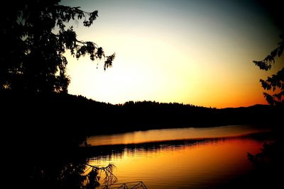 Silhouette of trees at sunset