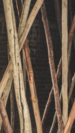 Full frame shot of bamboo tree