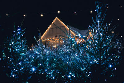 Low angle view of illuminated built structure