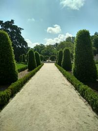 Footpath in garden