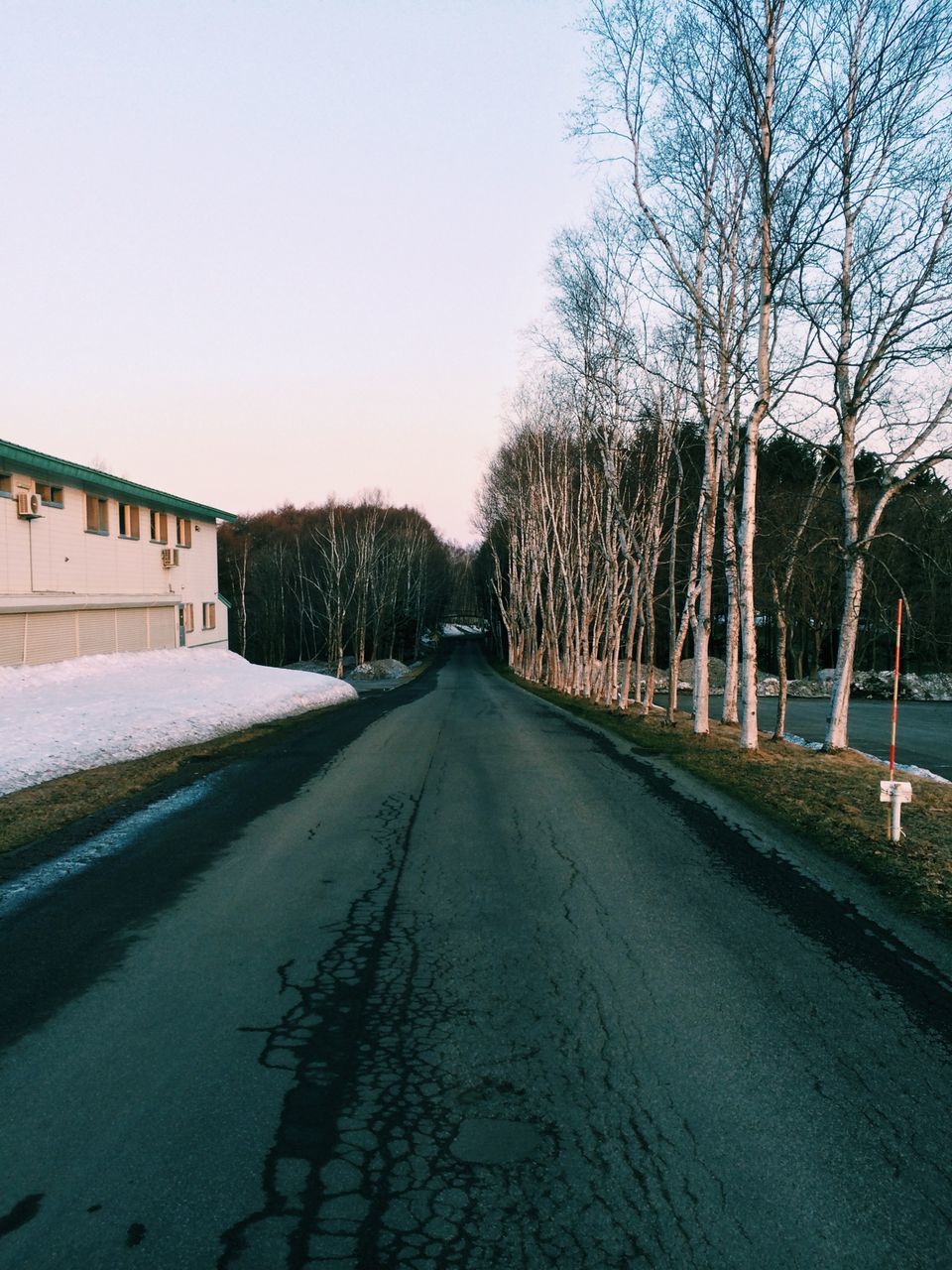 EMPTY ROAD WITH BARE TREES IN FOREGROUND