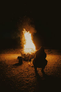 People in illuminated bonfire at night