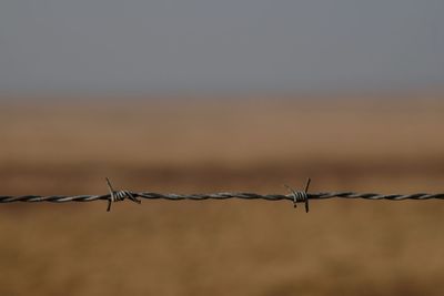 Close-up of barbed wire fence against sky