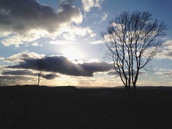 Silhouette of bare trees on landscape