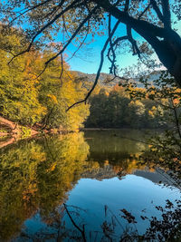 Scenic view of lake in forest during autumn