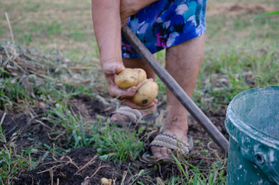 gardening