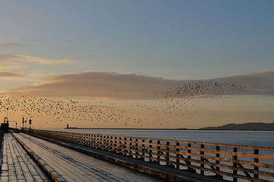 Scenic view of silhouette bird flock migrating over sea against sky